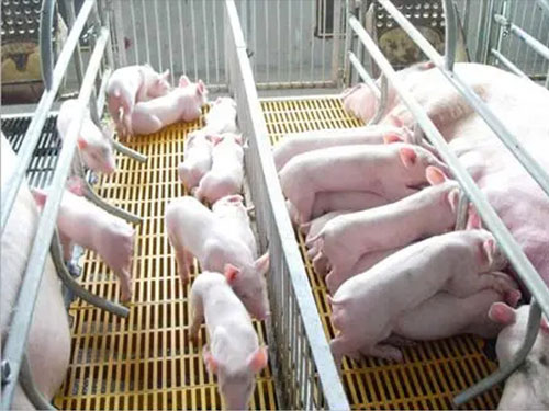 未標題-1 未標題-1